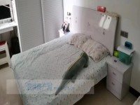其它图