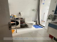 其它图