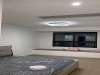 其它图