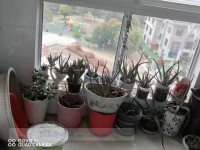 其它图