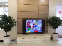 其它图