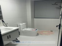 其它图