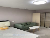 其它图