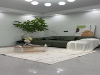 其它图