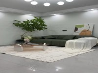 其它图