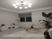 其它图