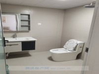 其它图