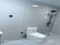 其它图