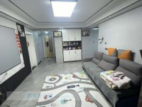 其它图