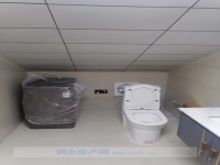 其它图