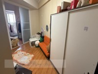 其它图