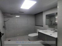 其它图