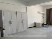 其它图
