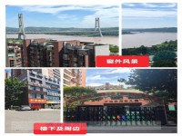 其它图
