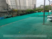 其它图