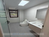 其它图